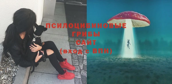 гидропоника Зерноград