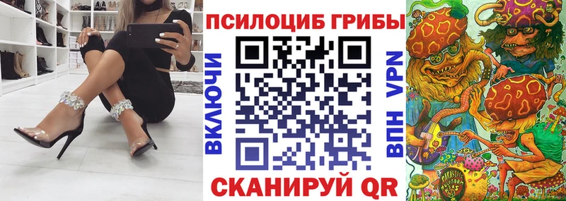 KRAKEN ссылка  купить наркотики сайты  Кинешма  Псилоцибиновые грибы прущие грибы 