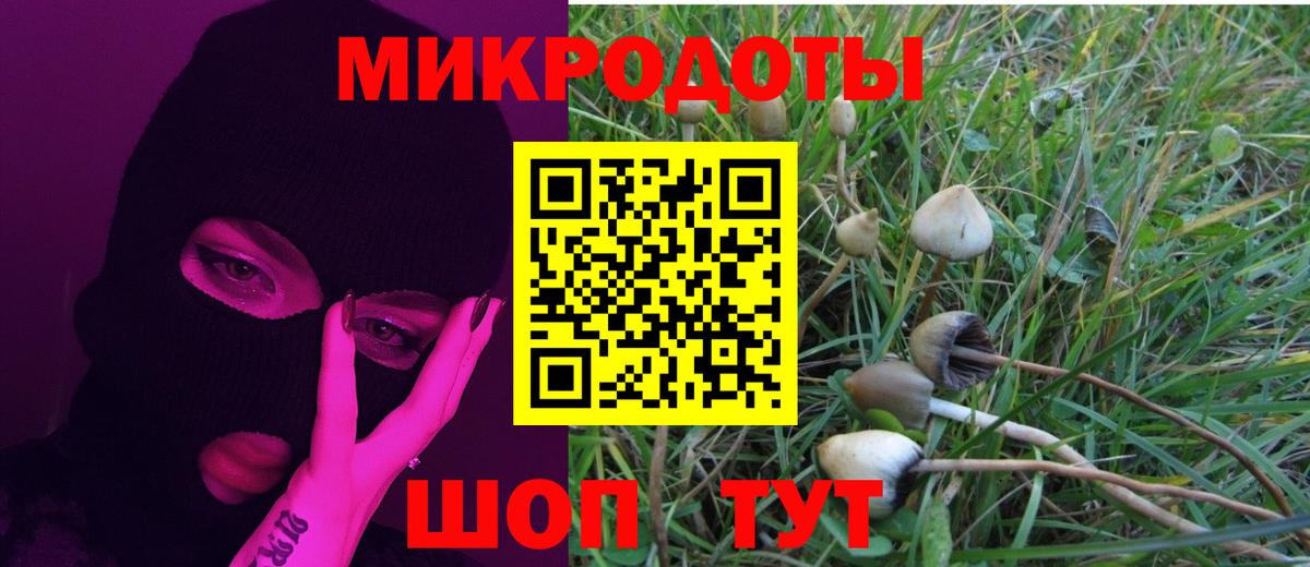 Галлюциногенные грибы мицелий Кинешма