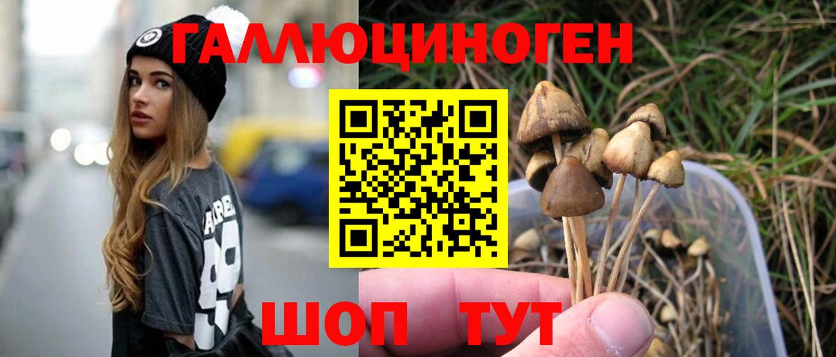 Кинешма  Псилоцибиновые грибы Magic Shrooms  Вход с VPN 